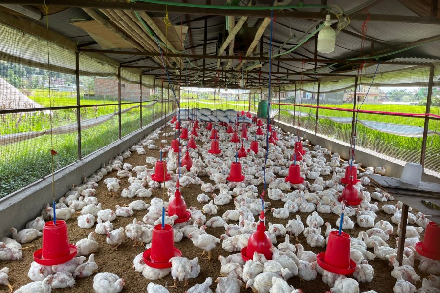 Simaltar Krishi Farm