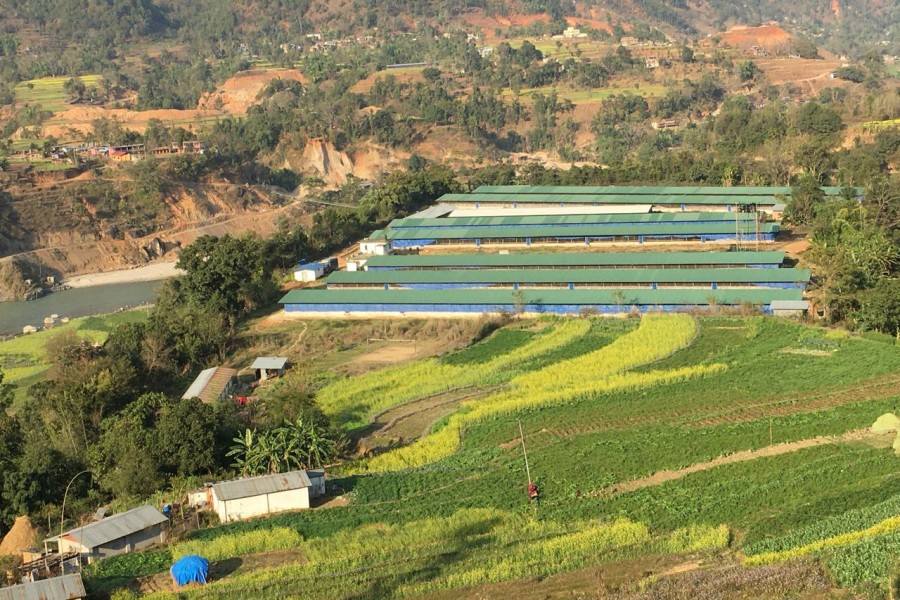 Trishuli Breeding And Research Farm
