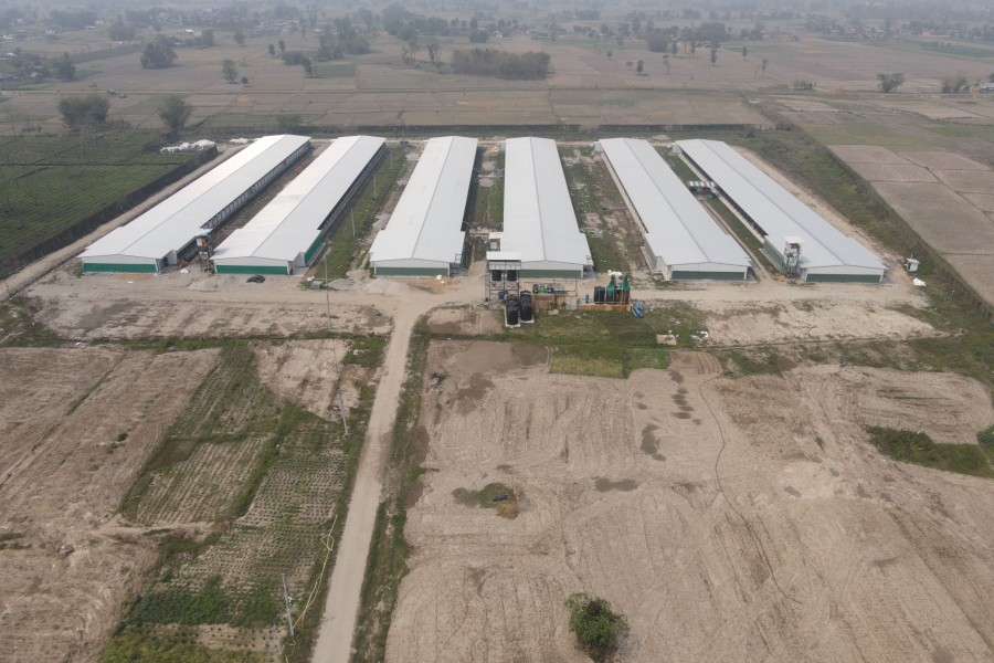 Mechi Poultry Farm