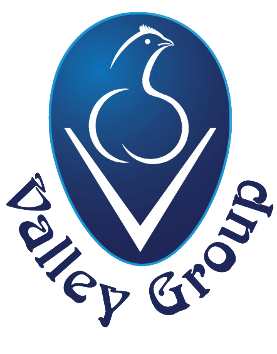 Valley Group